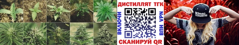 ТГК гашишное масло гидра ONION Томмот