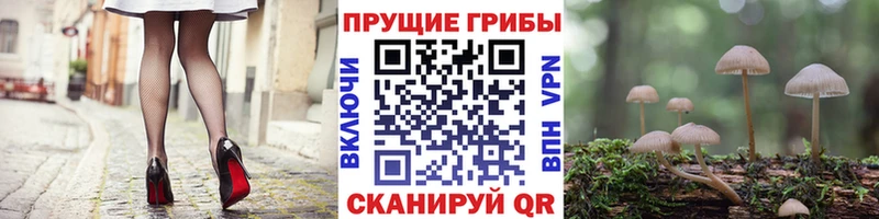Псилоцибиновые грибы прущие грибы  Томмот 