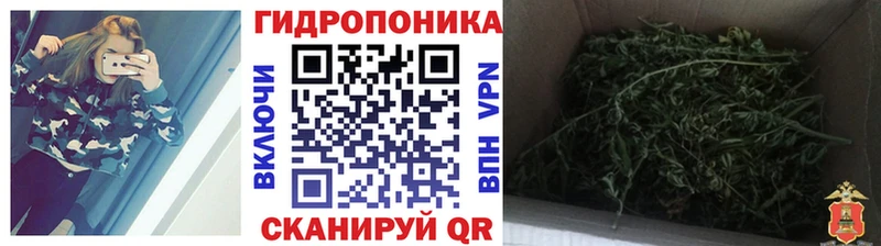 Каннабис AK-47  сколько стоит  Томмот 